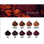 Sicura tinta 120ml